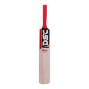 DSC Fire Kashmir Willow Cricket Bat, Short Handle